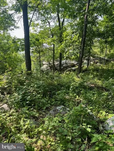  Reed Road, Knoxville, MD 21758 photo 3
