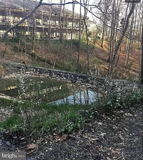 13450 Millstone Cir, Hancock, MD 21750 photo 61