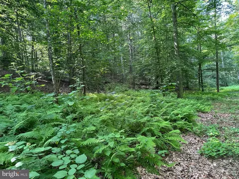 14126 Indian Springs Rd, Clear Spring, MD 21722 photo 27