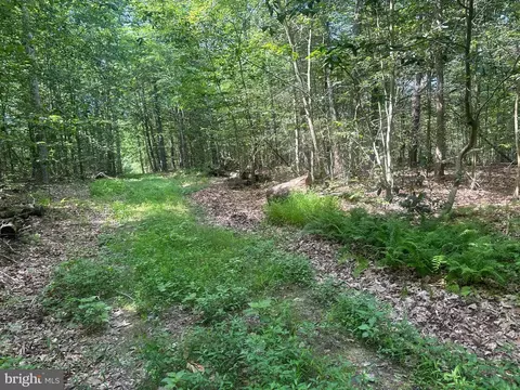 14126 Indian Springs Rd, Clear Spring, MD 21722 photo 24