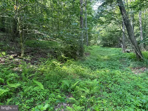 14126 Indian Springs Rd, Clear Spring, MD 21722 photo 14