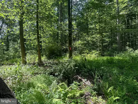 14126 Indian Springs Rd, Clear Spring, MD 21722 photo 15
