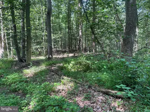 14126 Indian Springs Rd, Clear Spring, MD 21722 photo 12