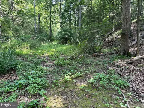 14126 Indian Springs Rd, Clear Spring, MD 21722 photo 28
