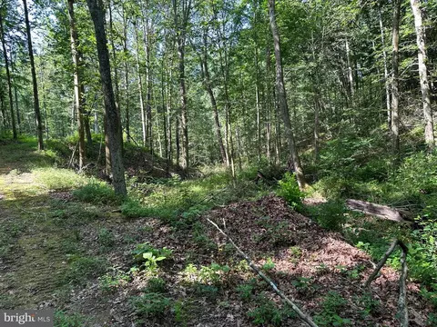14126 Indian Springs Rd, Clear Spring, MD 21722 photo 18