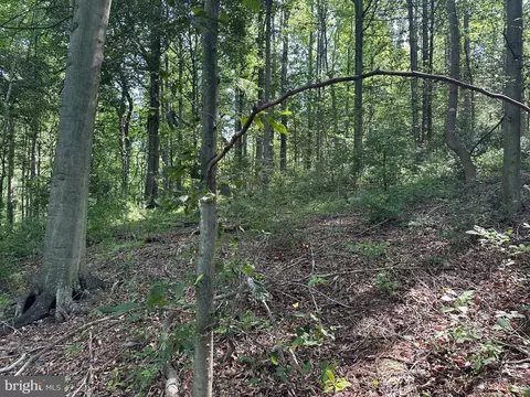 14126 Indian Springs Rd, Clear Spring, MD 21722 photo 6