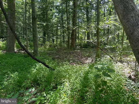 14126 Indian Springs Rd, Clear Spring, MD 21722 photo 25