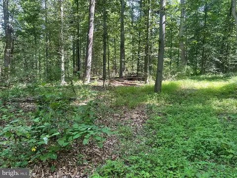 14126 Indian Springs Rd, Clear Spring, MD 21722 photo 13