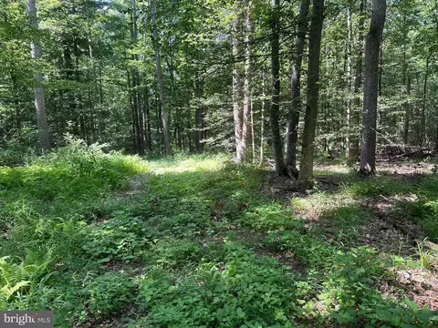 14126 Indian Springs Rd, Clear Spring, MD 21722 photo 9