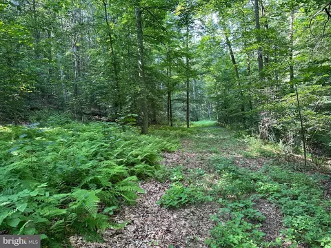 14126 Indian Springs Rd, Clear Spring, MD 21722 photo 16
