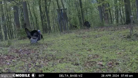 Other - 11915 Cove Rd, Clear Spring, MD 21722 photo 35 of 47