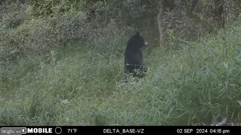 Other - 11915 Cove Rd, Clear Spring, MD 21722 photo 34 of 47