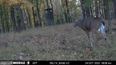 Other - 11915 Cove Rd, Clear Spring, MD 21722 photo 32 of 47