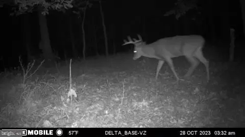 Other - 11915 Cove Rd, Clear Spring, MD 21722 photo 37 of 47