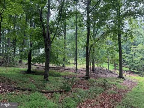 Other - 11915 Cove Rd, Clear Spring, MD 21722 photo 40 of 47