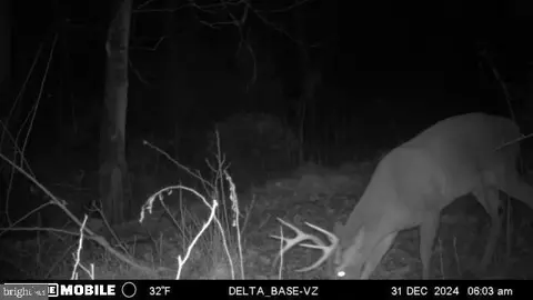 Other - 11915 Cove Rd, Clear Spring, MD 21722 photo 33 of 47