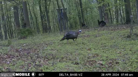 Other - 11915 Cove Rd, Clear Spring, MD 21722 photo 36 of 47
