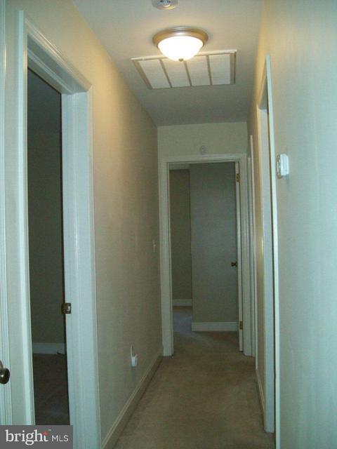711 Camellia Rd, Salisbury, MD 21804 photo 11