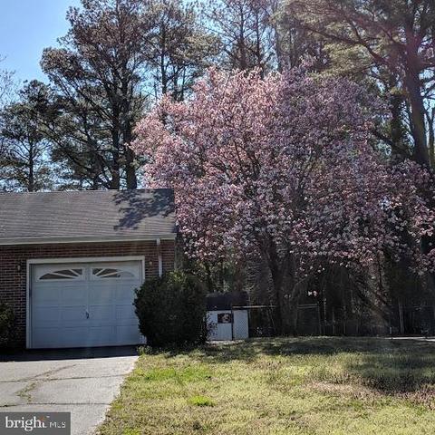 711 Camellia Rd, Salisbury, MD 21804 photo 2