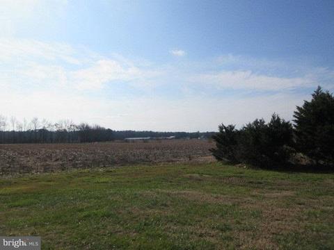 36437 Asherwood Branch Rd, Willards, MD 21874 photo 18
