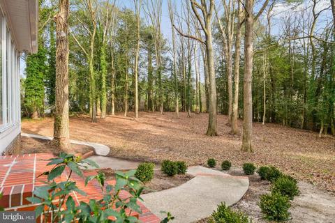 715 Camellia Rd, Salisbury, MD 21804 photo 44