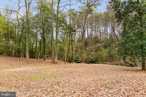 715 Camellia Rd, Salisbury, MD 21804 photo 45