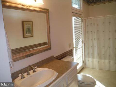 22925 Steele Dr, Tyaskin, MD 21865 photo 41