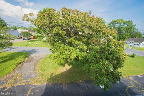 36264 Old Ocean City Rd, Willards, MD 21874 photo 83