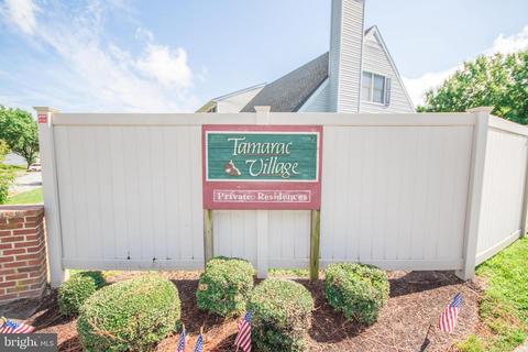 825 Johnson Rd, Salisbury, MD 21804 photo 35
