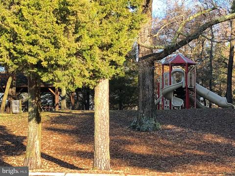4665 Tyaskin Rd, Tyaskin, MD 21865 photo 53