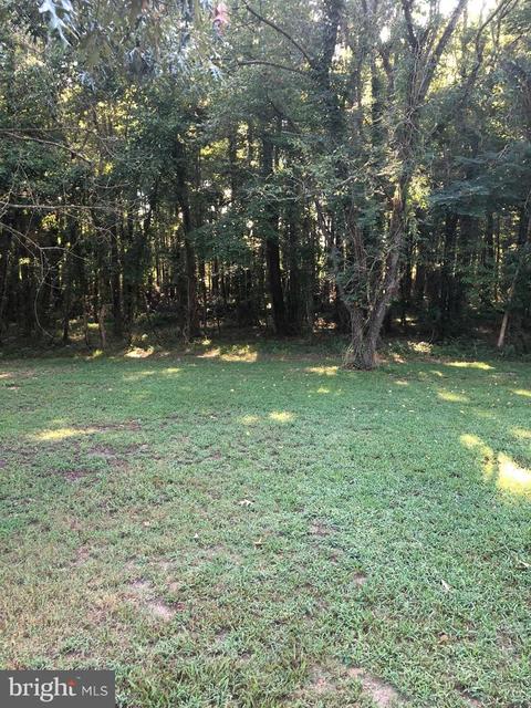 4665 Tyaskin Rd, Tyaskin, MD 21865 photo 58