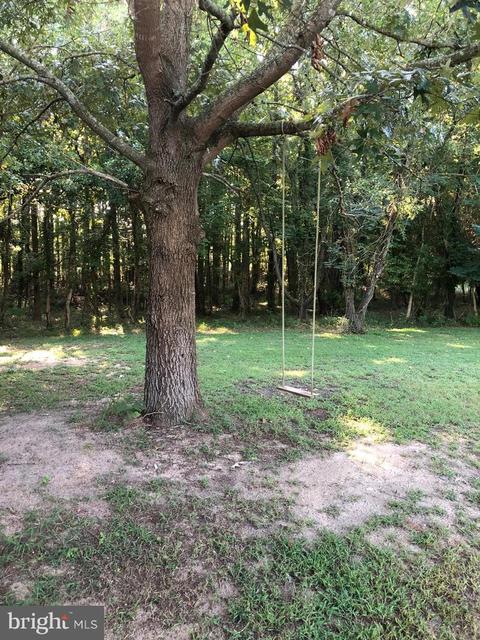 4665 Tyaskin Rd, Tyaskin, MD 21865 photo 57