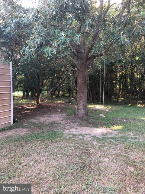 4665 Tyaskin Rd, Tyaskin, MD 21865 photo 56