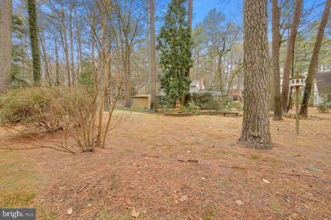 720 Burning Tree Cir, Salisbury, MD 21801 photo 35