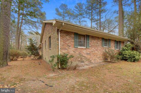 720 Burning Tree Cir, Salisbury, MD 21801 photo 33