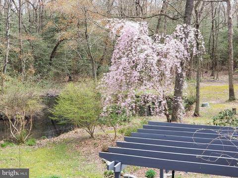 9065 Spring Hill Ln, Salisbury, MD 21801 photo 43