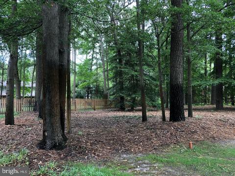 722 Burning Tree Cir, Salisbury, MD 21801 photo 38