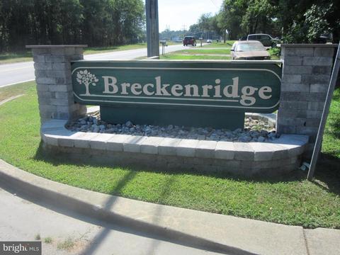 8719 Lynch Dr, Delmar, MD 21875 photo 3
