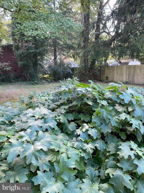 302 Amherst Rd, Salisbury, MD 21801 photo 19