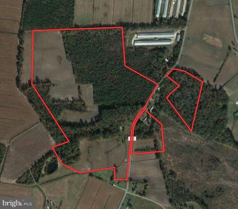 7900 Green Lewis Rd, Willards, MD 21874 photo 1