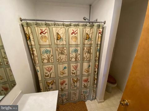 36111 Lumberyard Ln, Willards, MD 21874 photo 9