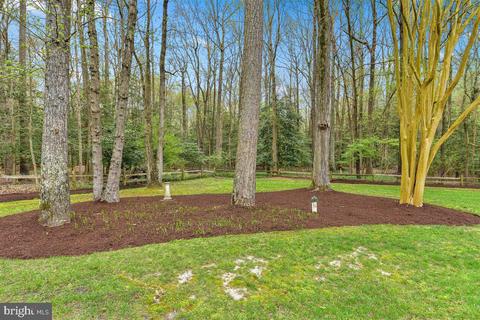 3843 Devonshire Dr, Salisbury, MD 21804 photo 70