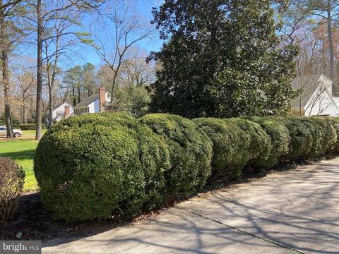 3843 Devonshire Dr, Salisbury, MD 21804 photo 74
