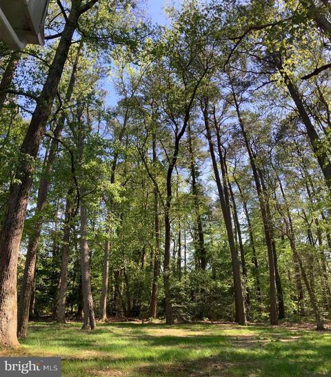 618 Douglas Rd, Salisbury, MD 21801 photo 6
