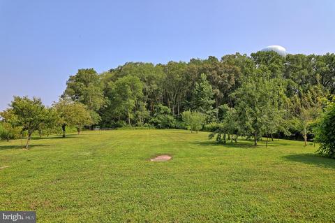 516 N Main St, Hebron, MD 21830 photo 34