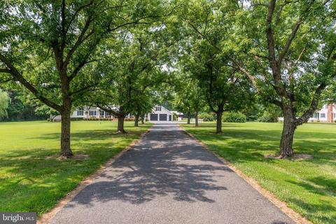 26764 Pemberton Dr, Salisbury, MD 21801 photo 10