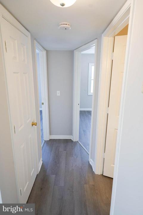 1019 Roger St, Salisbury, MD 21801 photo 6