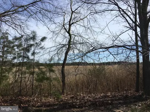 Lot 21 Green Hill Church Road, Quantico, MD 21856 photo 10