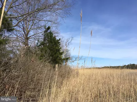 Lot 21 Green Hill Church Road, Quantico, MD 21856 photo 5