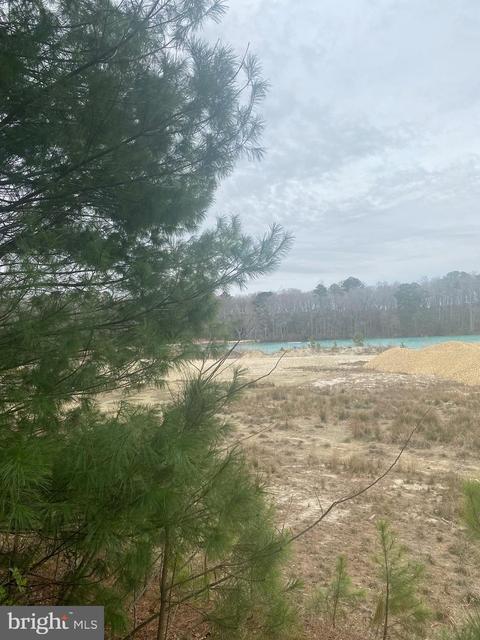 8141 Braggs Ln, Hebron, MD 21830 photo 14
